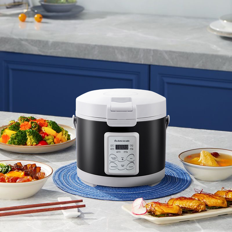220V Mini cuiseur à riz soupe  - Home Cooking Menu avis et prix